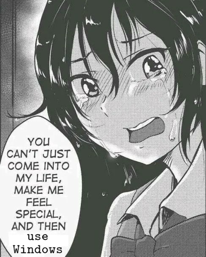 You can't just come into my life, make me feel special, and then use windows.